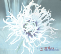 MORE BETTER DIFFERENT / MICK KARN