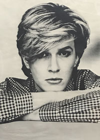 david sylvian