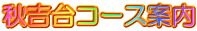 �H�g��R�[�X�ē�