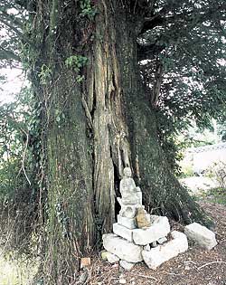 カヤの元の地蔵
