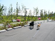 きらら公園５月