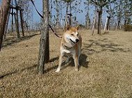 きらら公園３月