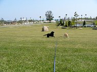 きらら公園５月