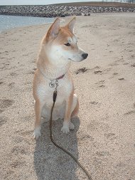 きらら公園３月