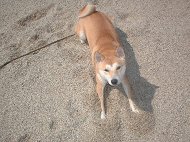 きらら公園３月