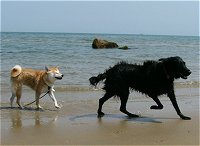 @낻납ȁH