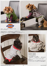 AS KNOW AS AUTUNM＆WINTERCOLLECTION