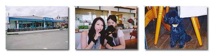 PEACEDOG写真