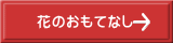 Ԃ̂ĂȂ