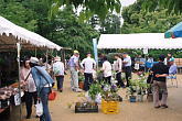 阿弥陀寺第二会場での各種テントの出店、紫陽花の販売もあります