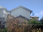 No.008