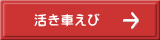 産地直送の活き車えび