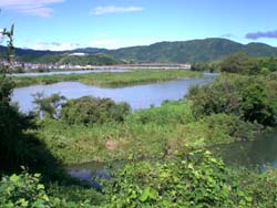 錦川