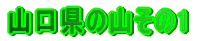 R̎R̂P