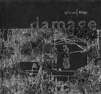 damage : sylvian/fripp