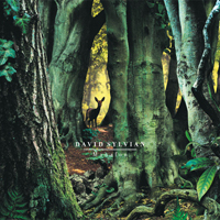 david sylvian / manafon
