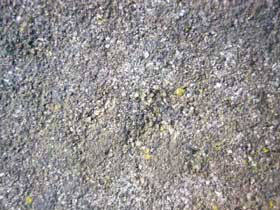 ���m�N���摜