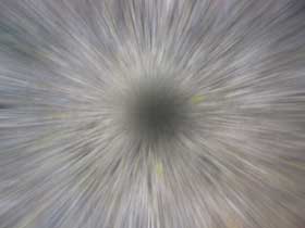 ���m�N���摜