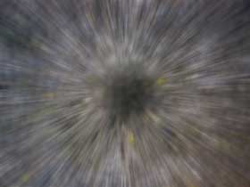 ���m�N���摜