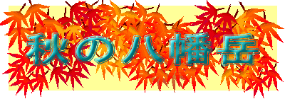�H�̔����x
