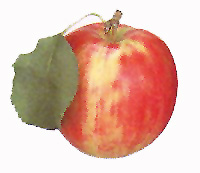 ������