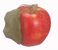 �H�f
