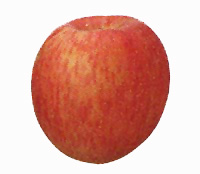 �ӂ�
