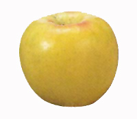 ����ܖ���