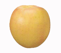 �ނ�