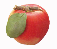 ����