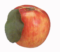 ����
