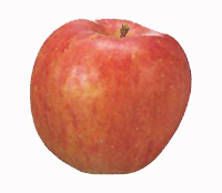 �₽��