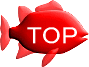 TOPページへ