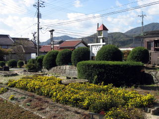 自慢の花壇です