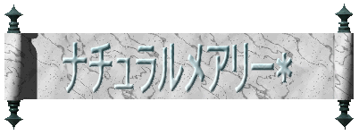 �S�y���L