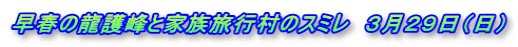 早春の龍護峰と家族旅行村のスミレ　３月２９日（日）