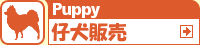 �e���̔�