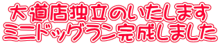 大道店独立のいたします ミニドッグラン完成しました