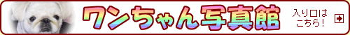 ʐ^