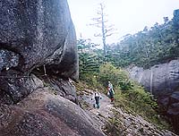  �����̓`���b�g�|����ł��I