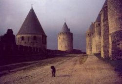 �悤���������ŉ������܂����B�ǂ���������Ƃ��ϗ��������B