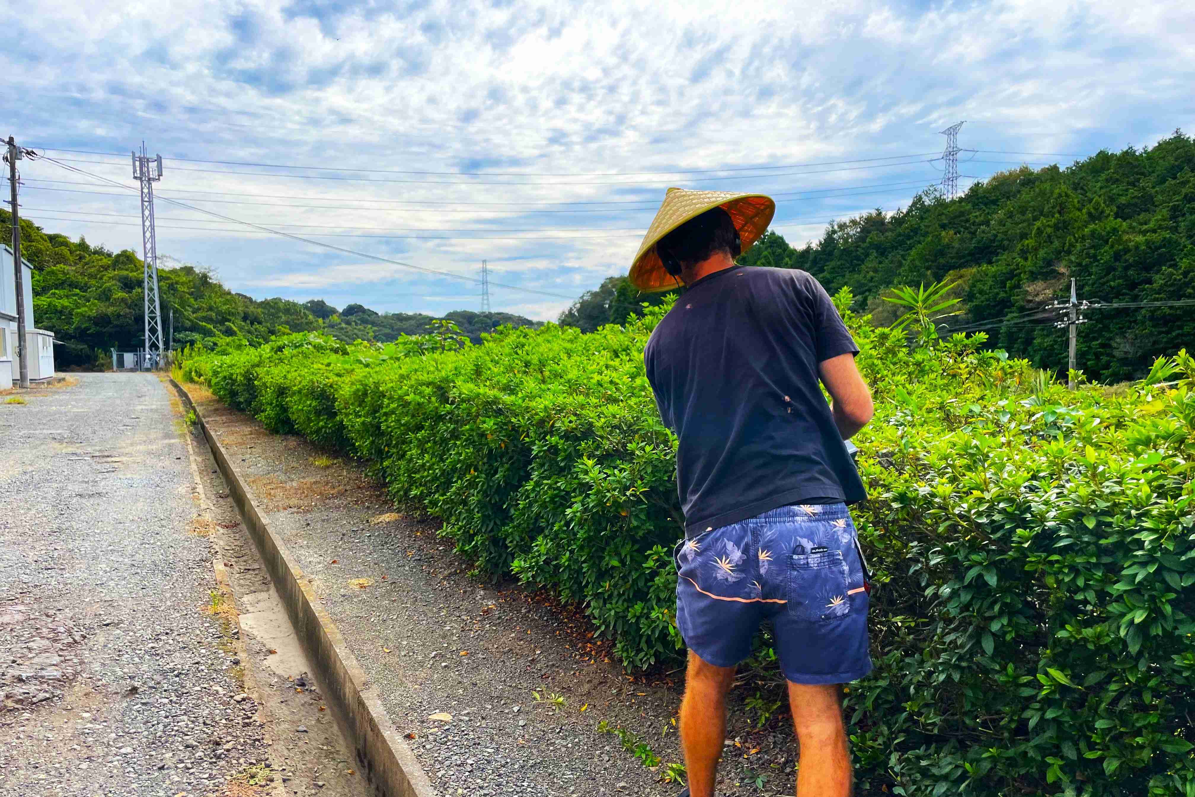剪定