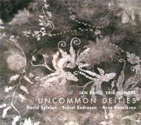 uncommon deities / jan bang, erik honore
