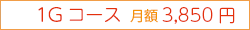 1Gコース 月額 3,850円