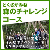 「新しい自分に出会える」そんなアドベンチャーをしてみませんか・・・ とくさがみね 森のチャレンジコース