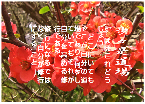 禅語