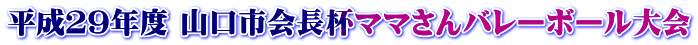 平成２９年度 山口市会長杯ママさんバレーボール大会