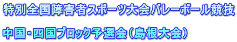 特別全国障害者スポーツ大会バレーボール競技  中国・四国ブロック予選会（島根大会）