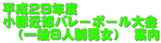 平成29年度 小郡近郊バレーボール大会 (一般9人制男女) 案内