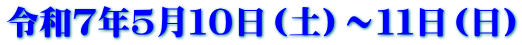 �ߘa�V�N�T���P�O���i�y�j�`�P�P���i���j